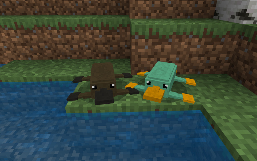 Platypuses in the game