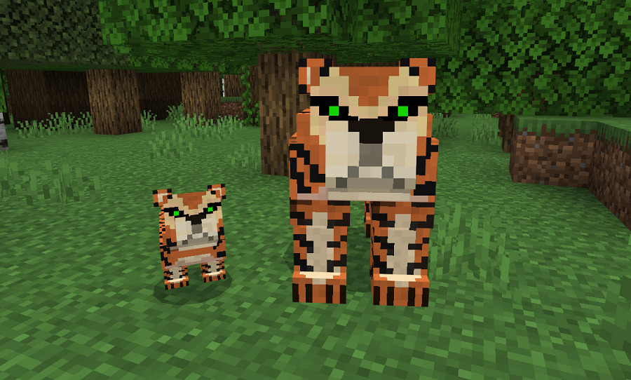 Tigers and cub