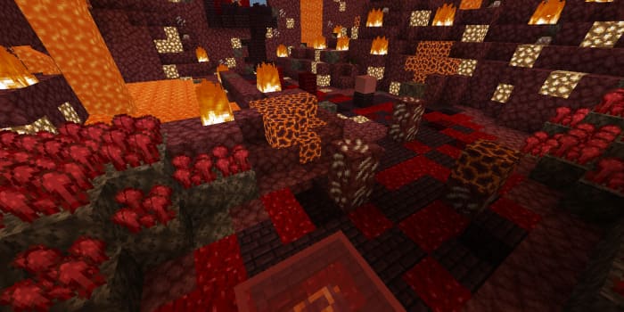A level in the Nether