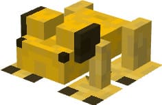 Золотая ядовитая лягушка