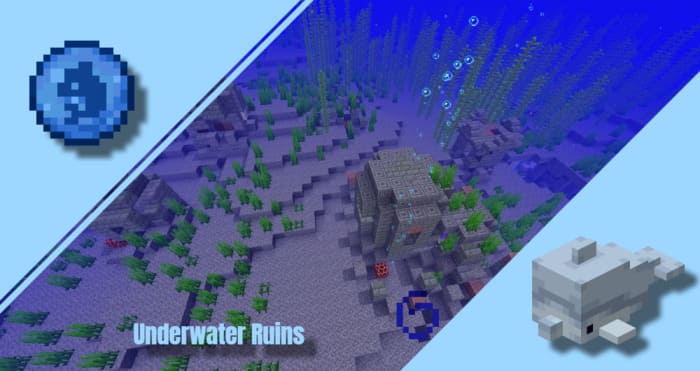 Underwater ruins and the baby dolphin