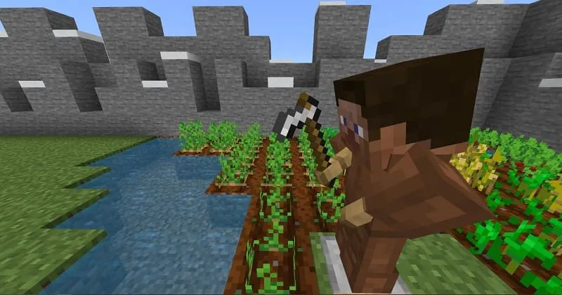 Level with Steve and hoe