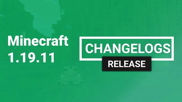 Minecraft 1.19.11.01