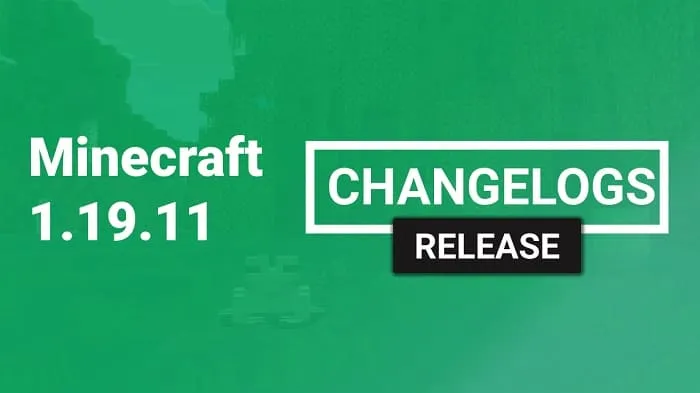 Minecraft 1.19.11.01