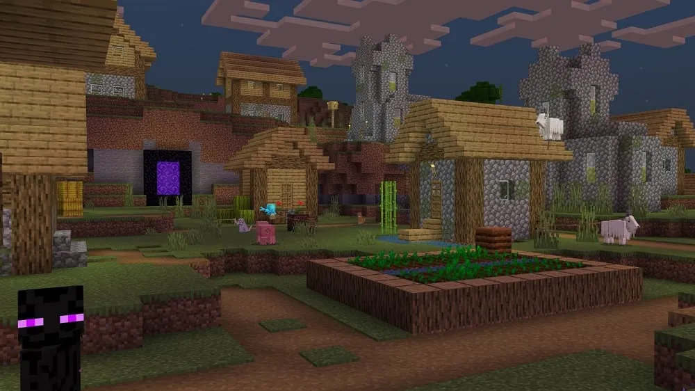 Enderman and Village in Minecraft 1.19.30.20