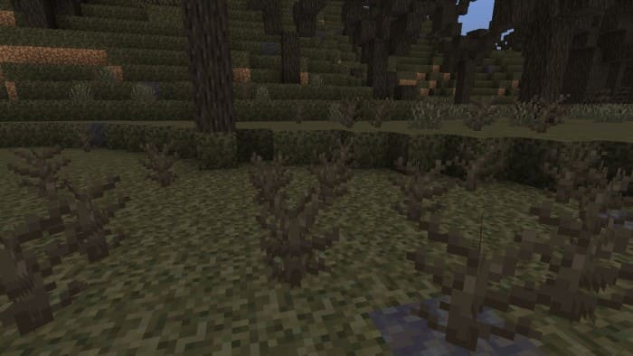 Corrupted Bush Vegetation