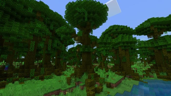 Разросшееся джунглевое дерево