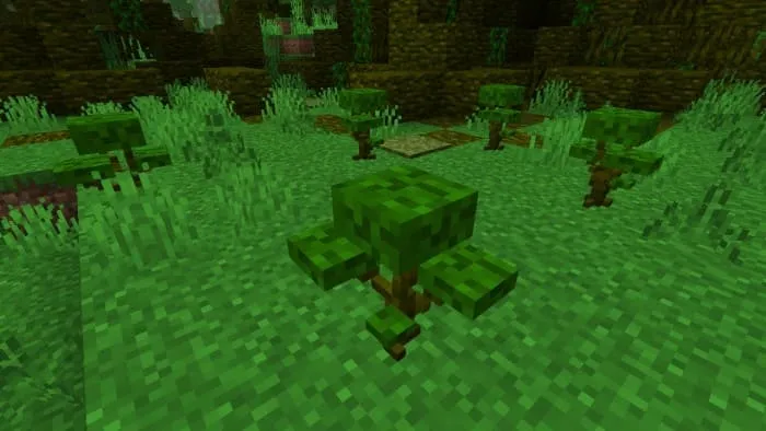 Overgrown jungle plant