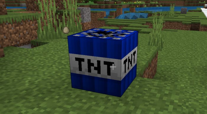 Placed tnt on the ground