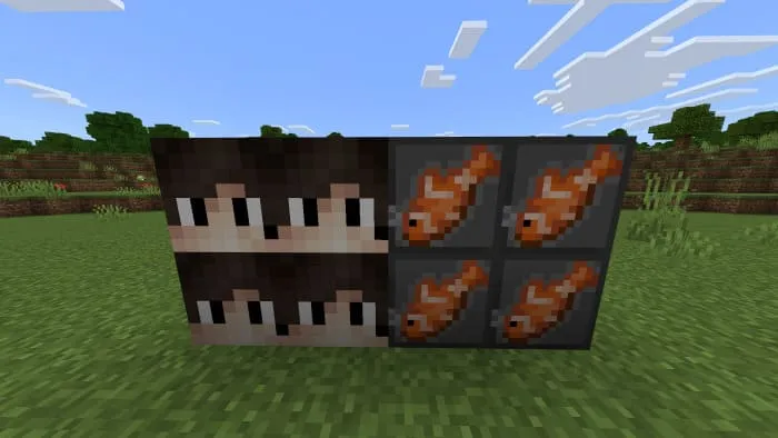 Special meteorite blocks
