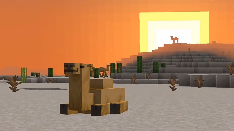 Camels in Minecraft