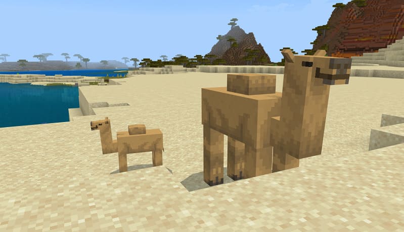 Camel in Minecraft