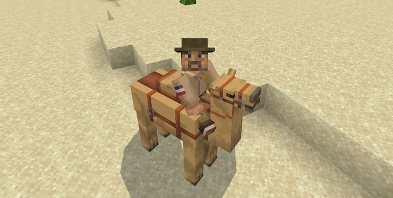 Player on Camel