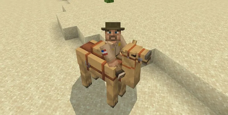 Player on Camel