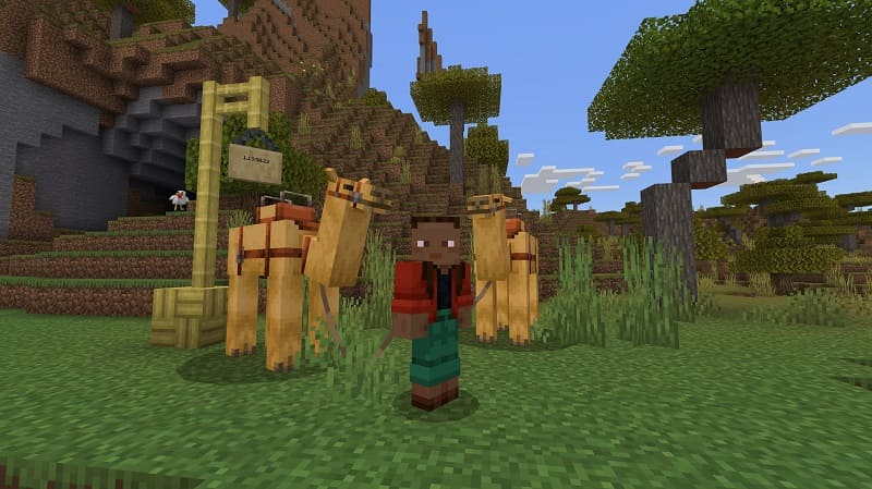 Download Minecraft PE 1.19.50.21 apk free: Camel and Bamboo