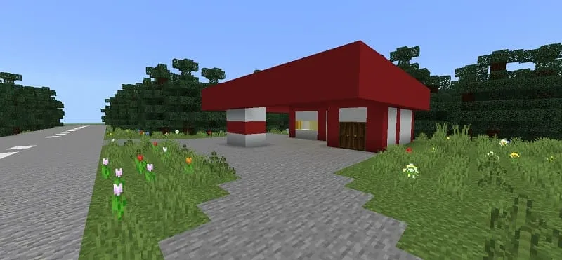 Gas station in the Village