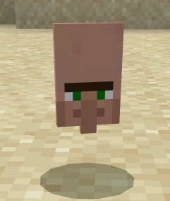 The fallen head of a Villager in Minecraft