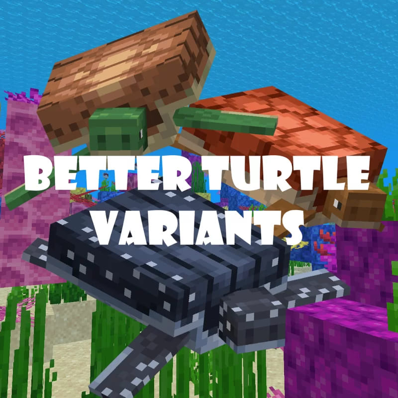 Turtle Variants