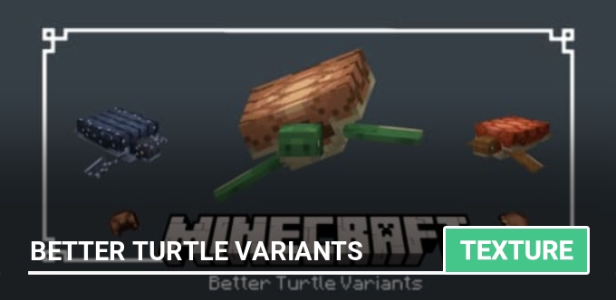 Texture: Better Turtle Variants