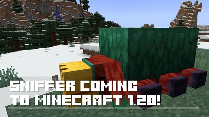 Sniffer coming to Minecraft!