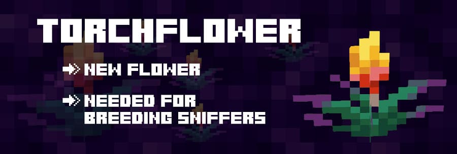 Torchflower in Minecraft 1.19.70.23