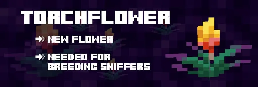 Torchflower in Minecraft 1.19.70.23