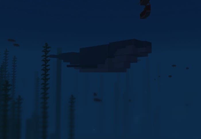 Вид кита из дали