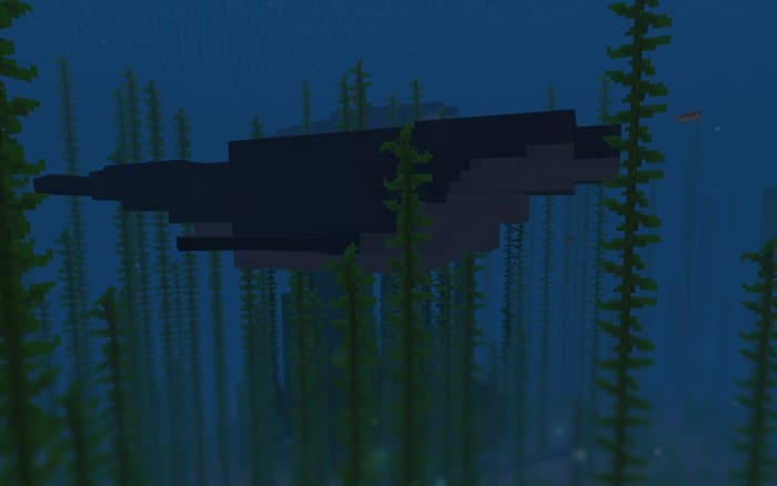 Вид кита вблизи