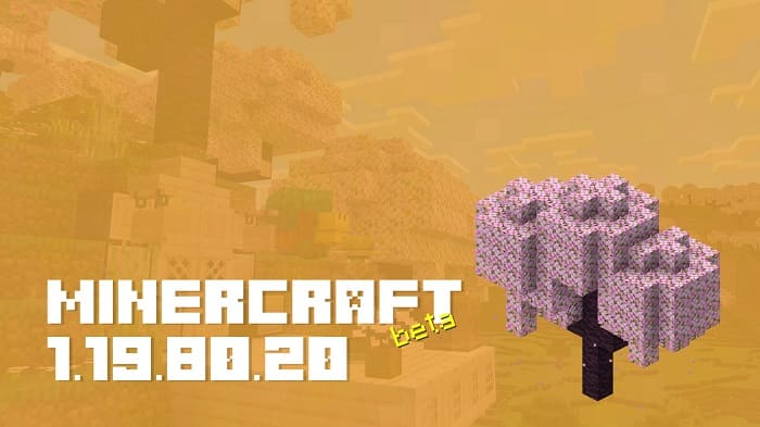 Download Minecraft Bedrock 1.19.80 apk free: Trails & Tales