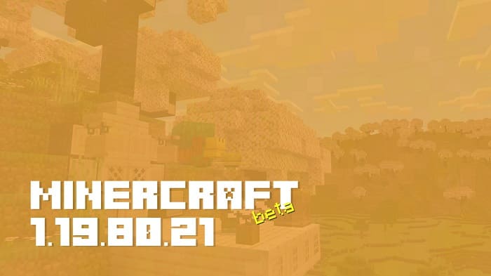 Minecraft 1.19.80.21