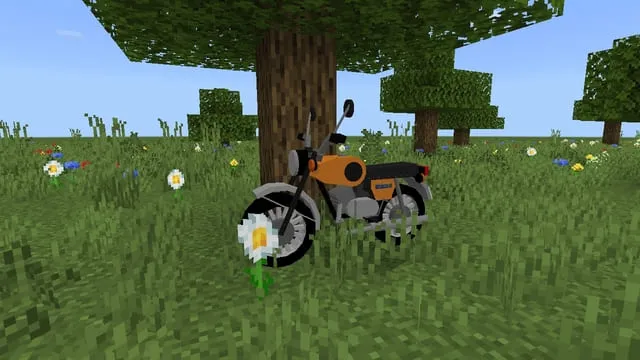 Motorcycle near a tree