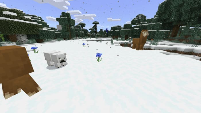 животные в снежном мире