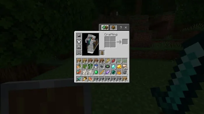 Items in the inventory