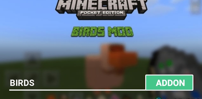 Mod: Birds