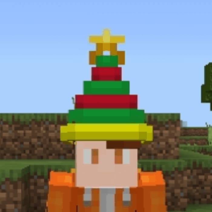 Вид новогодней шляпы