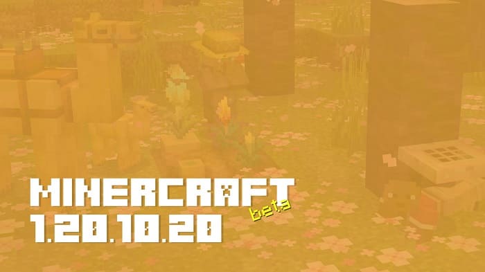 Minecraft 1.20.10.20