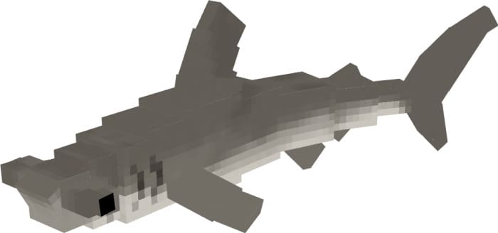Вид большой акулы молотка