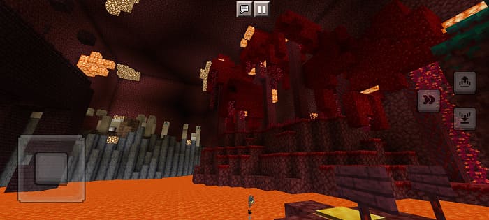 Screenshot with Nether