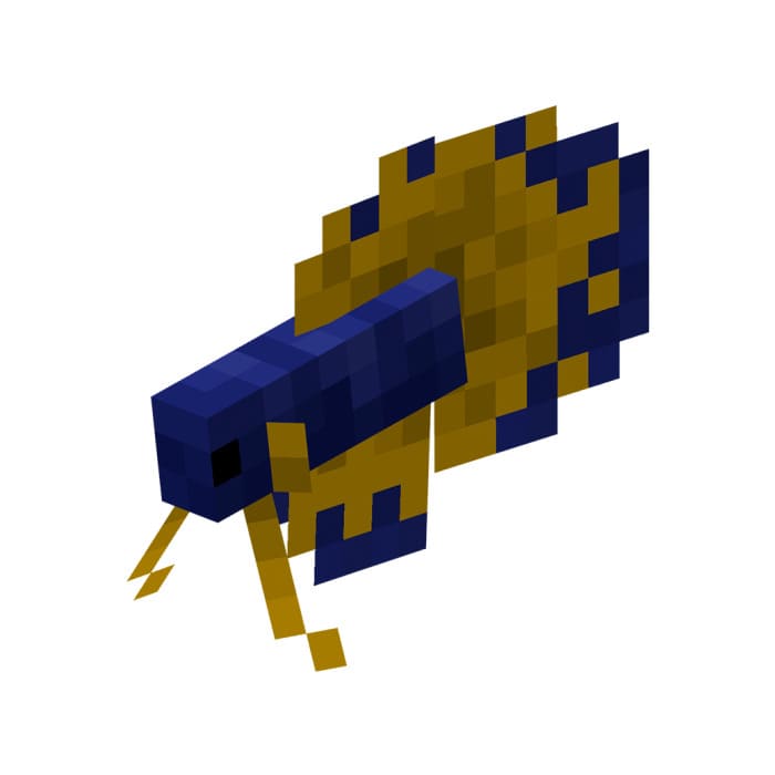 Синяя бойцовая рыбка с золотым хвостом