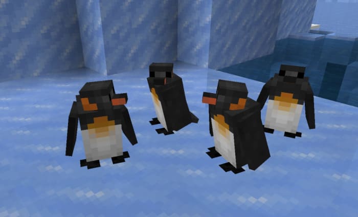 Группа пенгвинов