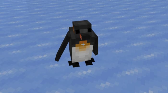 Вид пингвина
