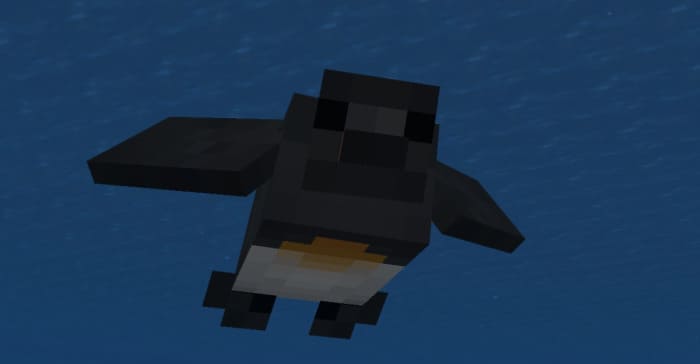 Пингвин плывет