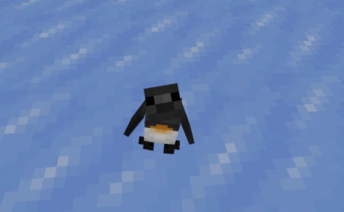Пингвин детеныш