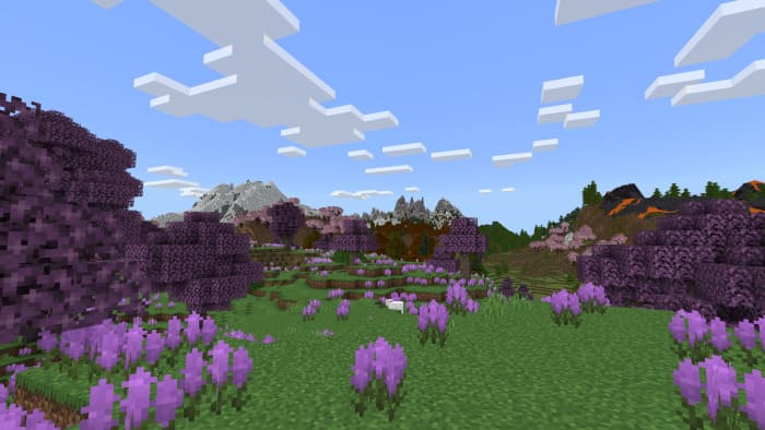 Lavender Plains