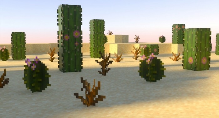 Cacti and deadbush