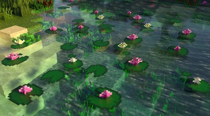 Lily pads