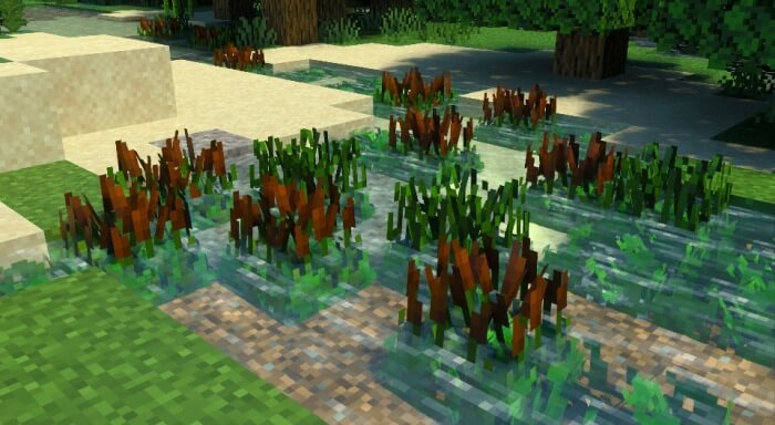 Seagrass-Cattails