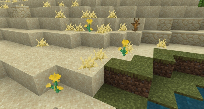 Желтые цветы и трава