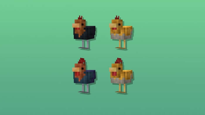 Куры и цыплята