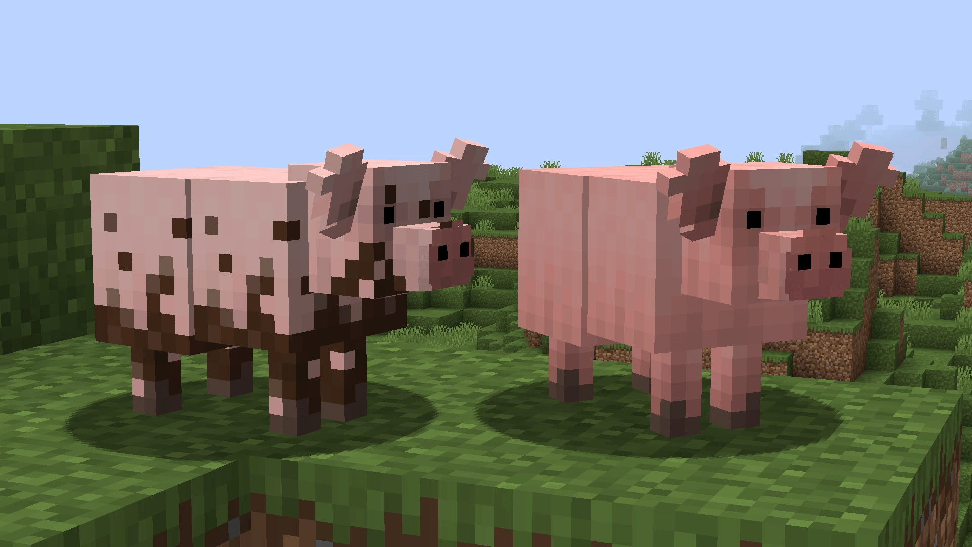 Вид свиней